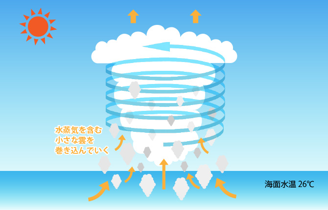 台風のできるまでの図